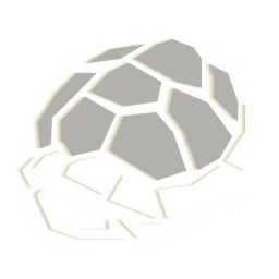 Echo Shell exotic skill