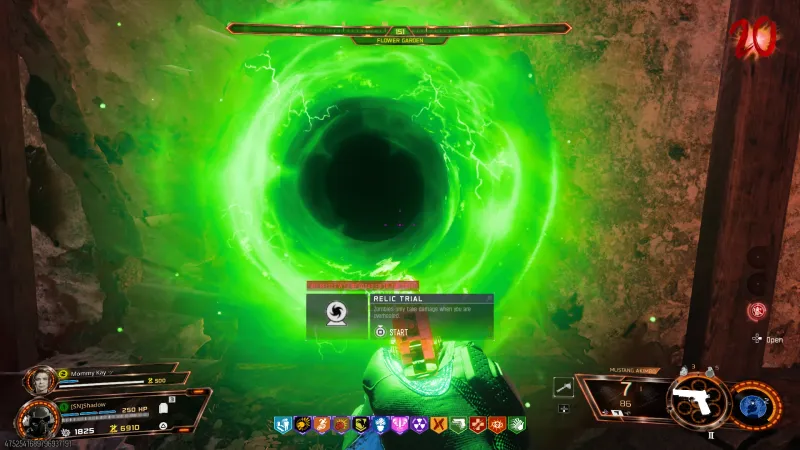 The green Druid Stone relic portal in the Flower Garden on Kowakujo with the trial rule that zombies only take damage when you are overhealed