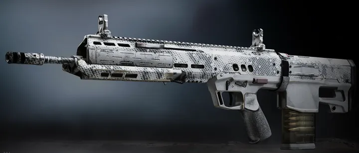 Cronen Squall with the Military Camo 3 camo in MW4 DMZ