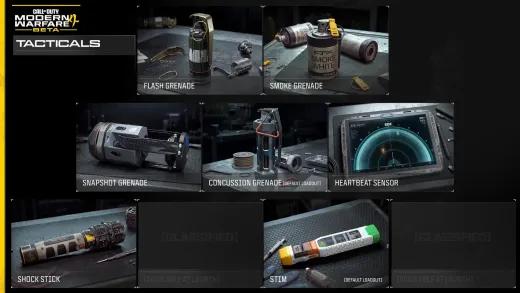 Official MW4 beta Tacticals screen showing Flash Grenade, Smoke Grenade, Snapshot Grenade, Concussion Grenade, Heartbeat Sensor, Shock Stick and Stim